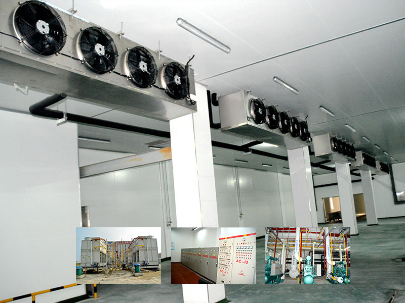 南宁食物企业10000吨冷库