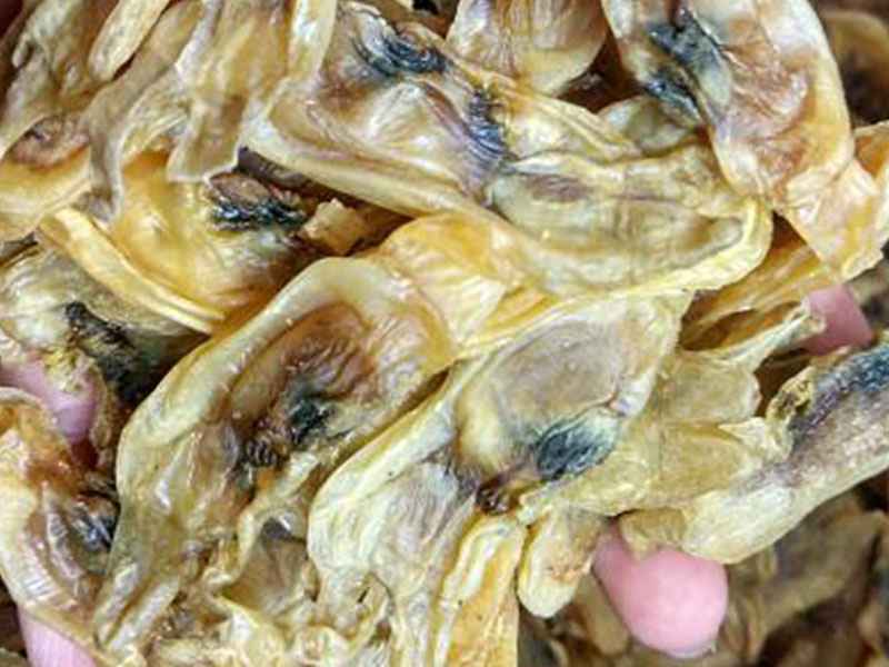 山东蛏子烘干项目