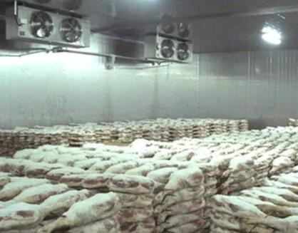 低温冷库制作设计需思量哪些问题