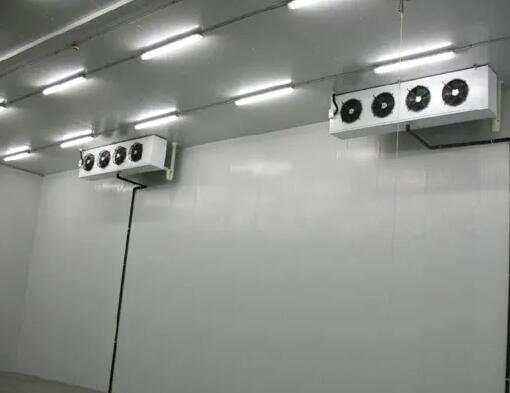 冷库装置规范及注重事项 怎样对冷库举行保养