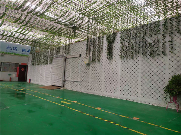 专业旅馆冷库装置设计应该注重哪些?