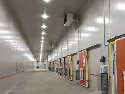 8000平方冷链物流大型冷库装置造价影响因素有哪些？