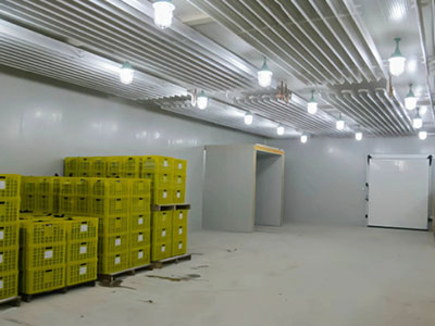 果蔬气调保鲜冷库作用，果蔬气调冷库有哪些优点？