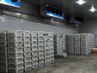 果蔬冷库怎样调理相对湿度？ 