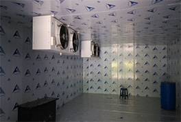 鱼鲜行业需要多大的冷库？抵达什么要求？