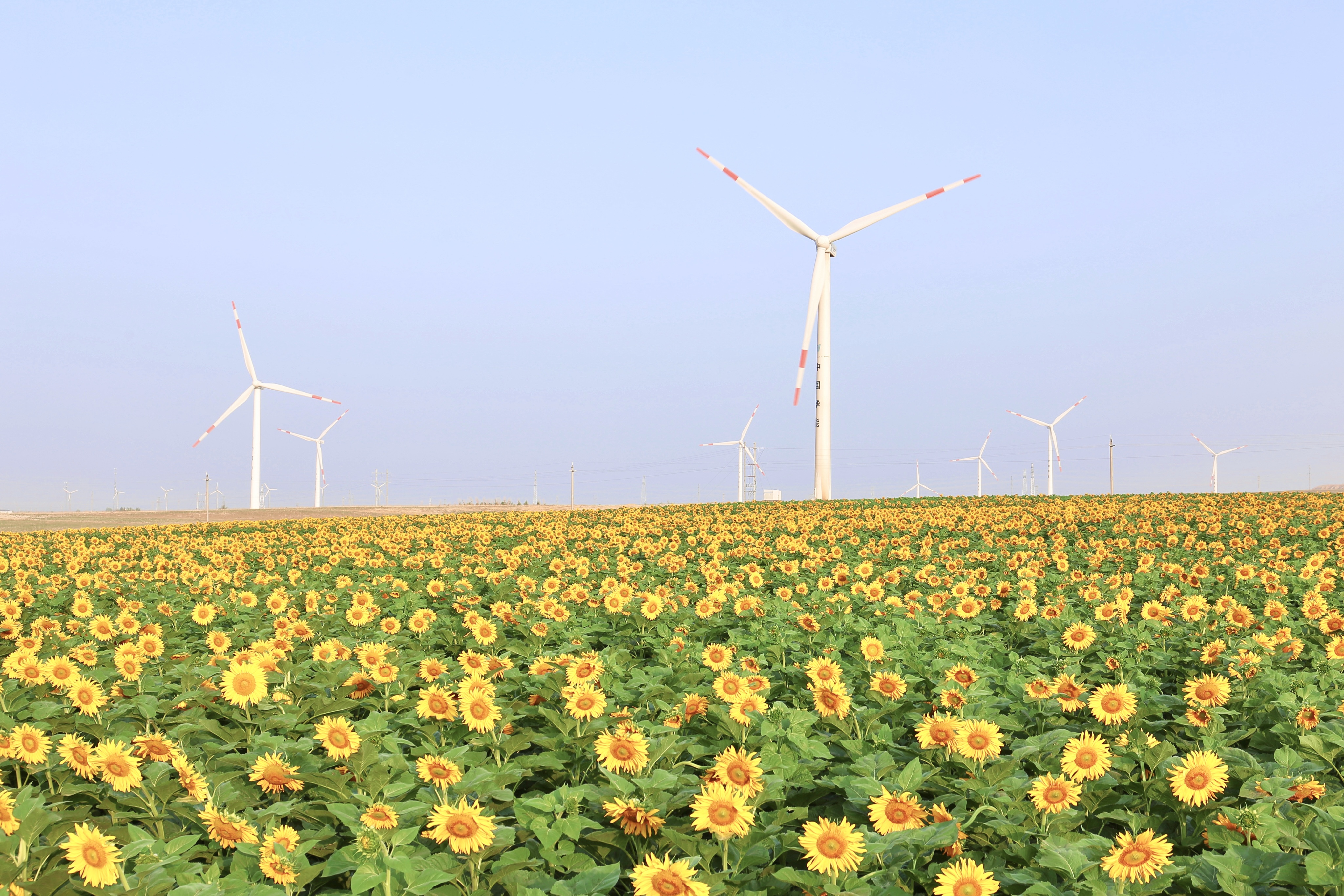 大奖国际·18dj18(中国)官方网站