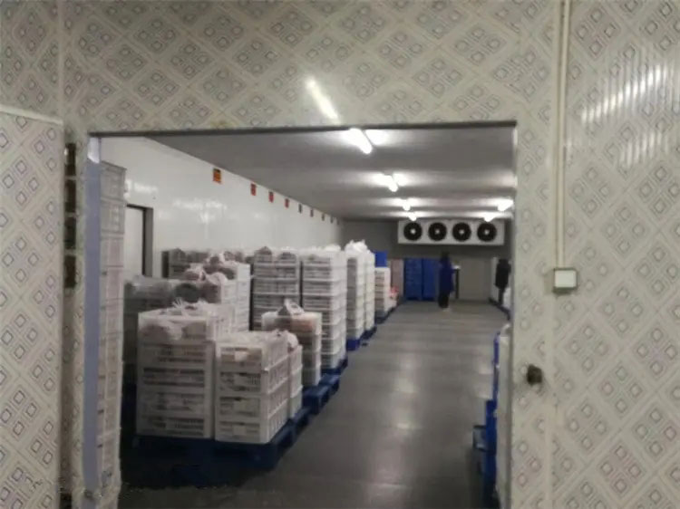 建设大型食物低温冷藏库工程装置影响用度的条件因素