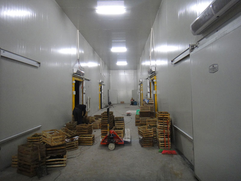 建一个100吨冷库需要几多钱