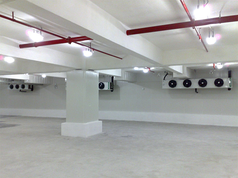 建一个100吨冷库需要几多钱