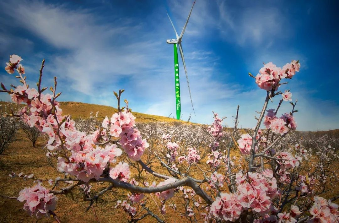 大奖国际·18dj18(中国)官方网站