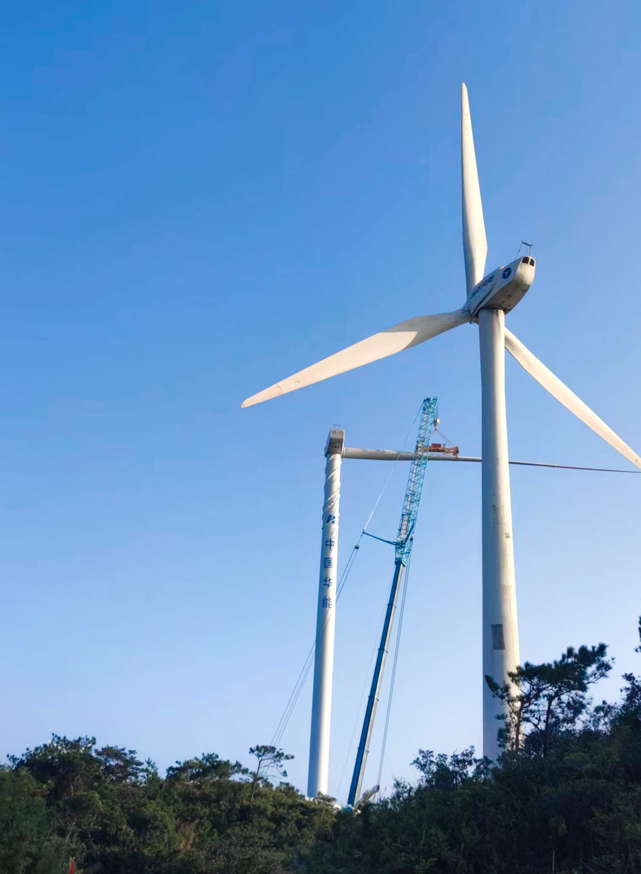 大奖国际·18dj18(中国)官方网站