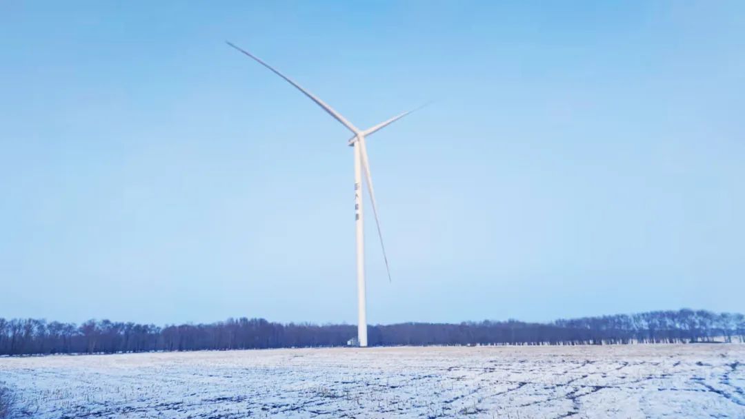 高质量交付！大奖国际18dj18股份多个项目交上并网考卷