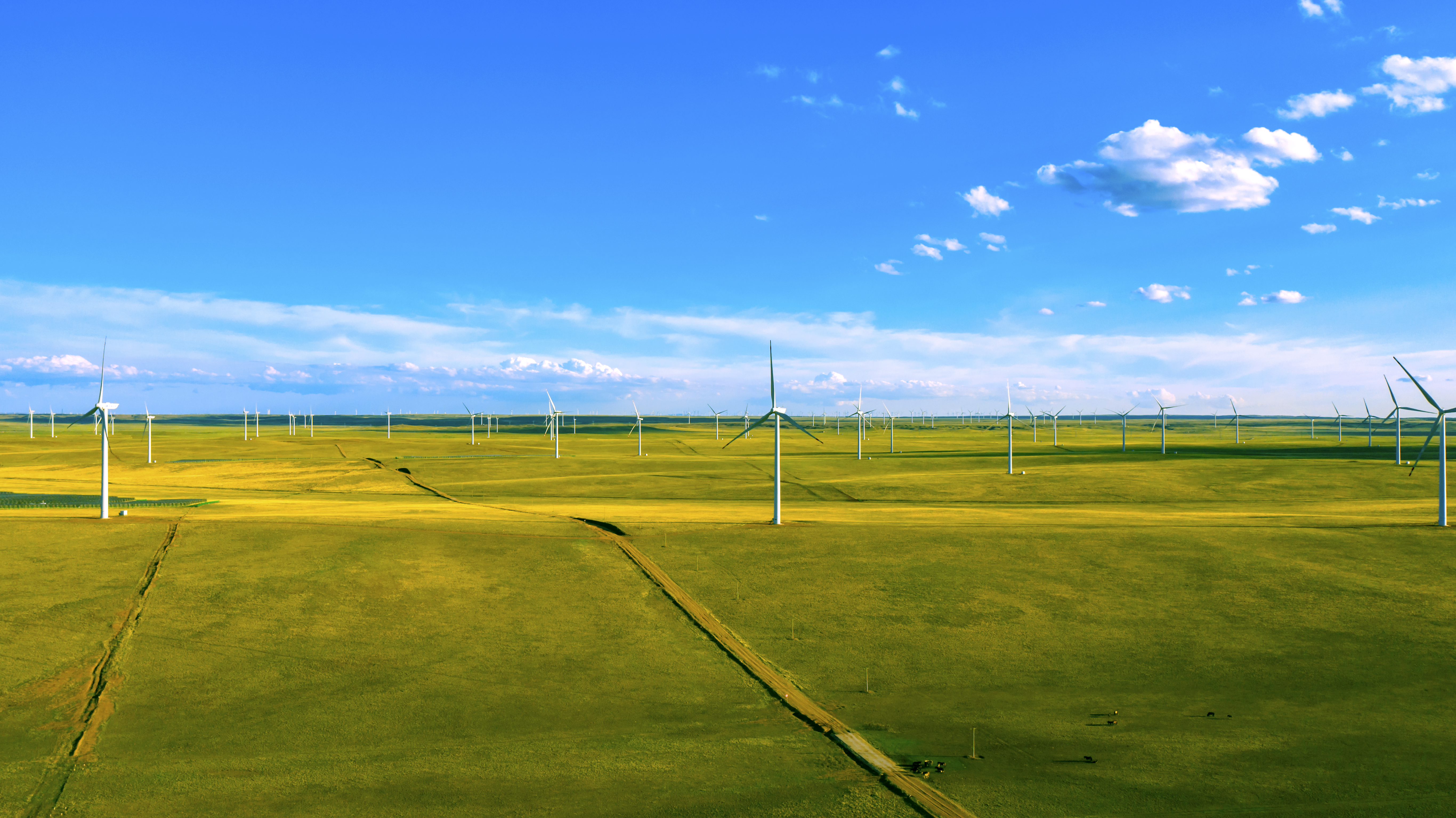 一图读懂 | 大奖国际18dj18股份2023年环境、社会与公司治理（ESG）汇报