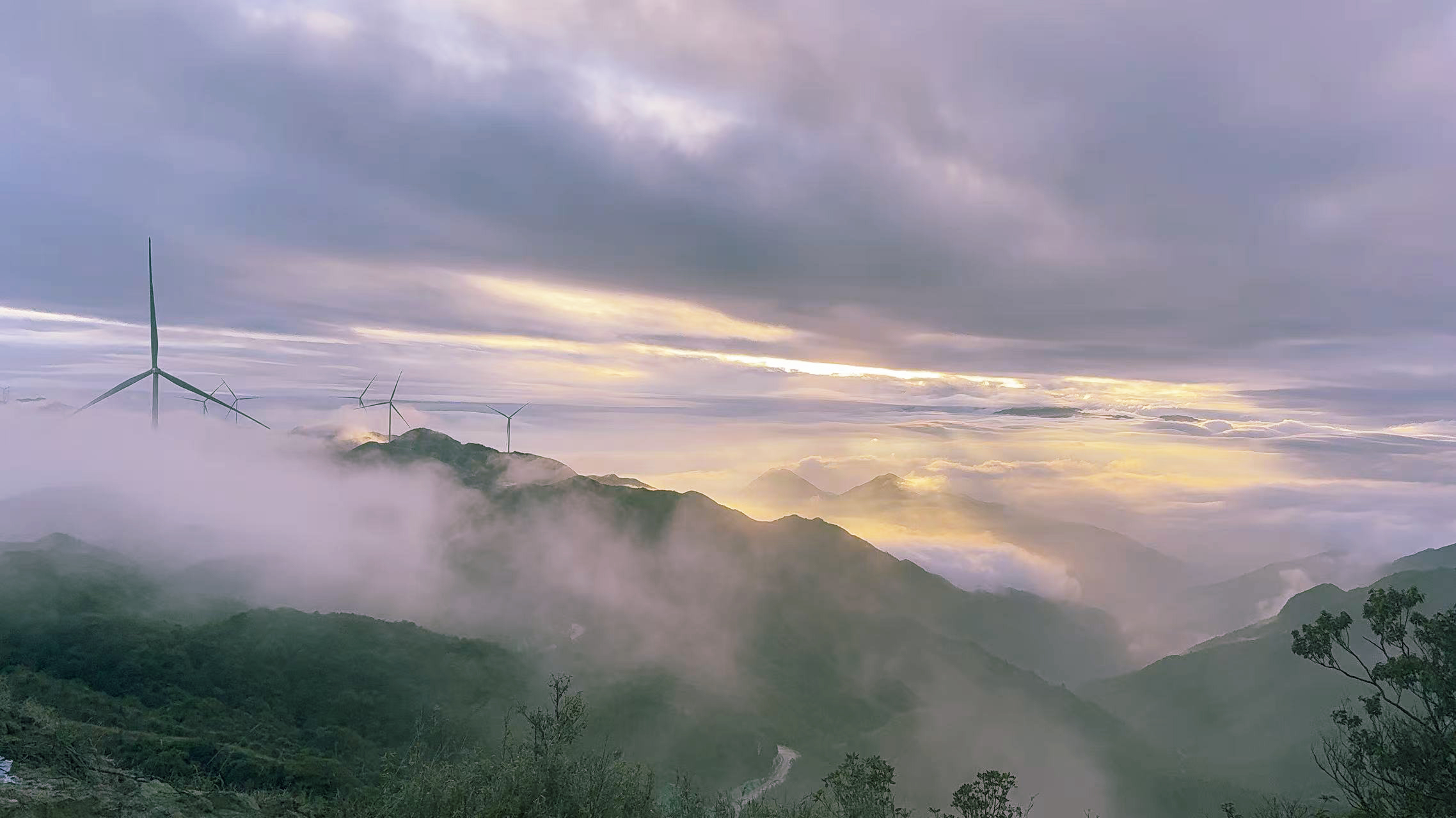 大奖国际·18dj18(中国)官方网站